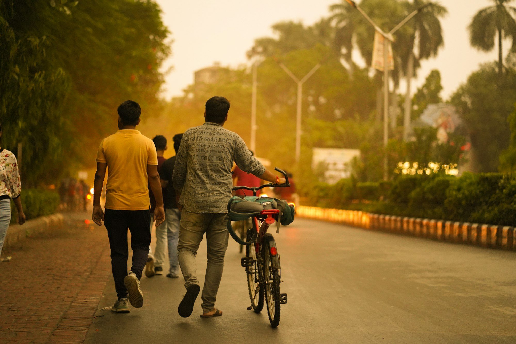 Friends walking with a bicycle along a tree-lined road at golden hour