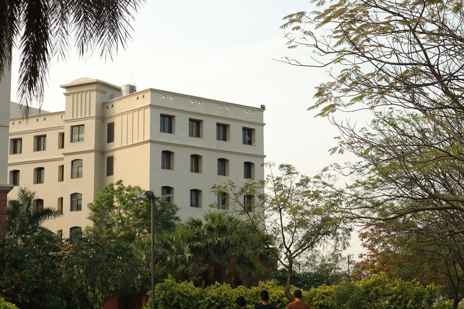 College building surrounded by trees